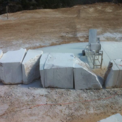 Image Caption