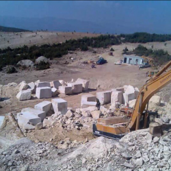 Image Caption